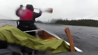 BWCA 2019 - 