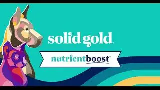 Solid Gold Nutrientboost Kibble and Toppers
