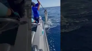 One of the best fish to catch! #wahoo #highspeed #zebra #fishing #trophyhunter