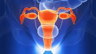 Development of Genital Ducts by Dr P K Ramakrishnan
