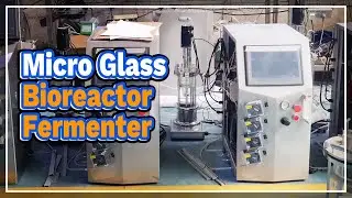 Micro Glass Bioreactor Fermenter - LABOAO