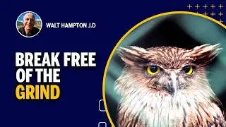 Break Free of The Grind  |  Walt Hampton