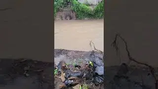Cassia Park gully when rain falls