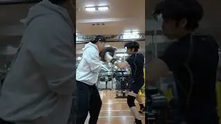 power punch punchshield