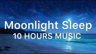 Evening Ambience | Let the Day Go & Slow Your Thoughts