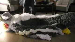 IFC 2025 Kali Stomped (Camera error footage/blooper)