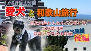 【愛犬と行く和歌山旅行】南紀白浜わんわんパラダイス（後編）【三段壁洞窟、京都大学白浜水族館】