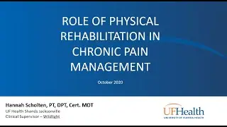Role of Physical Rehabilitation in Chronic Pain Management