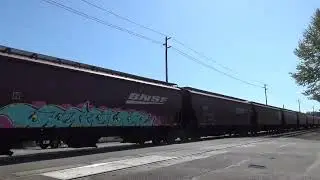 (Northbound) BNSF Empty Grain Train passes through the Main Street Railroad Crossing. (Sumner, WA)