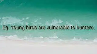 What is the meaning of vulnerable.(နေ့စဉ်သုံး English စကားလုံးများ။)