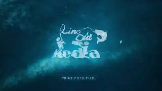 INTRO lineout.media YouTube Channel