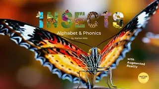 Insects Alphabet Phonics Book