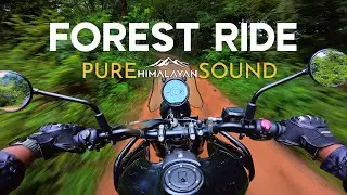 ASMR Forest Ride | Royal Enfield Himalayan 450 POV | RAW Engine Sound [4K]