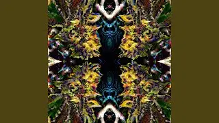 Transient Meditatiohm