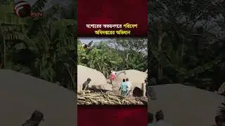 যশোরের অভয়নগরে পরিবেশ অধিদপ্তরের অভিযান || FVN News Online