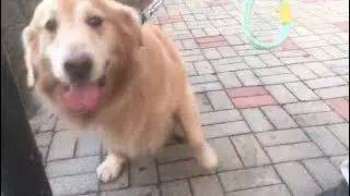 2026 01 15 Kiro 1