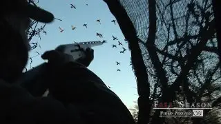 Fall Season with Field Proven Calls 