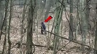 Scariest Bigfoot Encounters Caught on Camera &mdash; You Won&rsquo;t Believe What&rsquo;s in the Smoky Mountains!