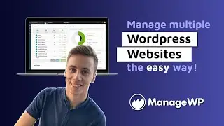 How To Manage Multiple WordPress Websites For FREE (2023)