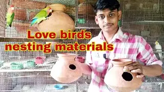 Love birds nesting materials, লাভ বার্ড পাখির বাসা বানানোর উপকরণ,