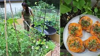Planting Basil Seeds, Mulching Raised Beds & a Seasonal Lunch | Garden to Table VLOG