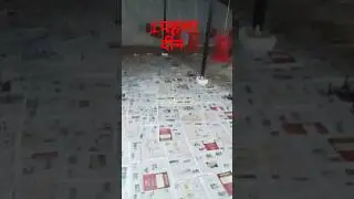 poultry pharmacy India.ready farm to cock child and paper making  poultry  farm and water tub part 2