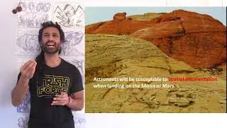 Spatial Disorientation and Spaceflight for the NASA HRP Conference 2021