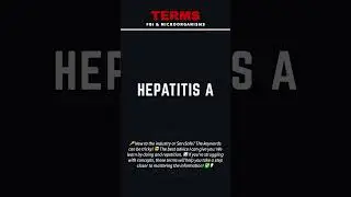 Hepatitis A: Key Terms