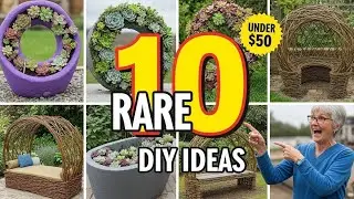 10 Simple Yet Gorgeous Backyard DIY Projects You Can Start Today | Elevate Your Garden on a Budget!