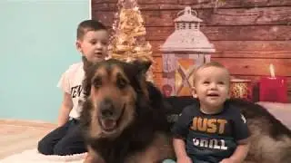 Jak wygląda dogoterapia?