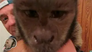 MonkeyBoo 12 Days of Christmas GiveAways! Day 1