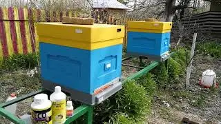 Ep. 4: Test Schema tratament prevenire intoxicatie cu pesticide albine 2021