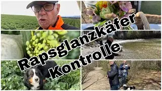 Sonntagsspaziergang