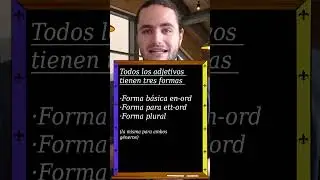 Adjetivos en sueco | Declinar los adjetivos en sueco | Sueco con Sixto