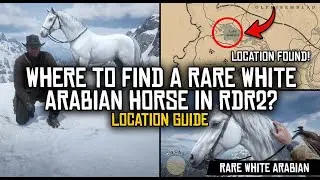 Where to Find the RAREST White Arabian Horse in RDR2 (Exact Location!) #rdr2 #fyp #gamingshorts