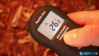 How To Use an Infrared Handheld Thermometer to Check Temperature in your Reptile Enclosure