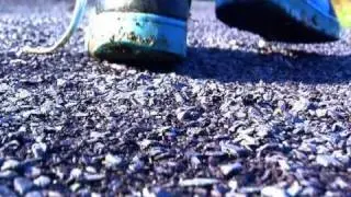 RSPB Conwy documentary.dv