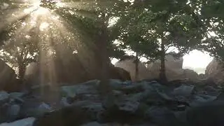 Eevee Next - Rocky Forest