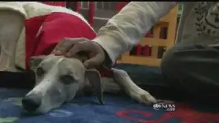 Man's Best Friend Helps Kids Learn to Read