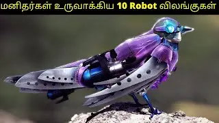 8 Amazing Animal Robots That Really Exist | Tamil | DHANUSH NC