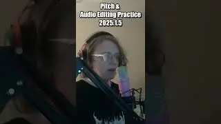Day 4 - Audio Mixing and Pitch Practice