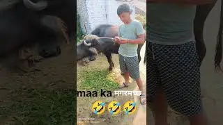 Kya huaa 😱 #music #song #beats #comedy #cover #funny #beach #edm #halloween #gaon #love