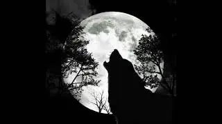 Trapwolf Tae - Tae Talk (Feat. Trapwolf Landoe Bandoe)