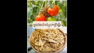 ម្ជូរប៉េងប៉ោះស្រែជាមួយ​ត្រីឆ្អើរ​ | Fermented tomato dip with dried fish #food #cooking