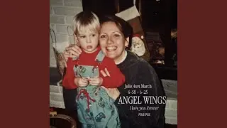 ANGEL WINGS