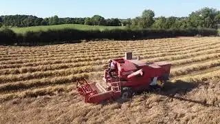 Corn Harvest 2024