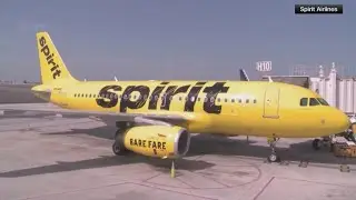 Spirit Airlines warns it may not survive without more cash