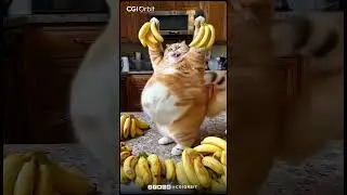 Coco Orange Cats Ultimate Adventure: AI-Generated Fun | CGI Orbit