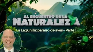 La Lagunilla: paraíso de aves - Parte 1