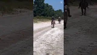 Beach ride!